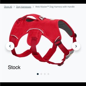Red Ruffwear Web Master Dog Harness with Handle L/XL